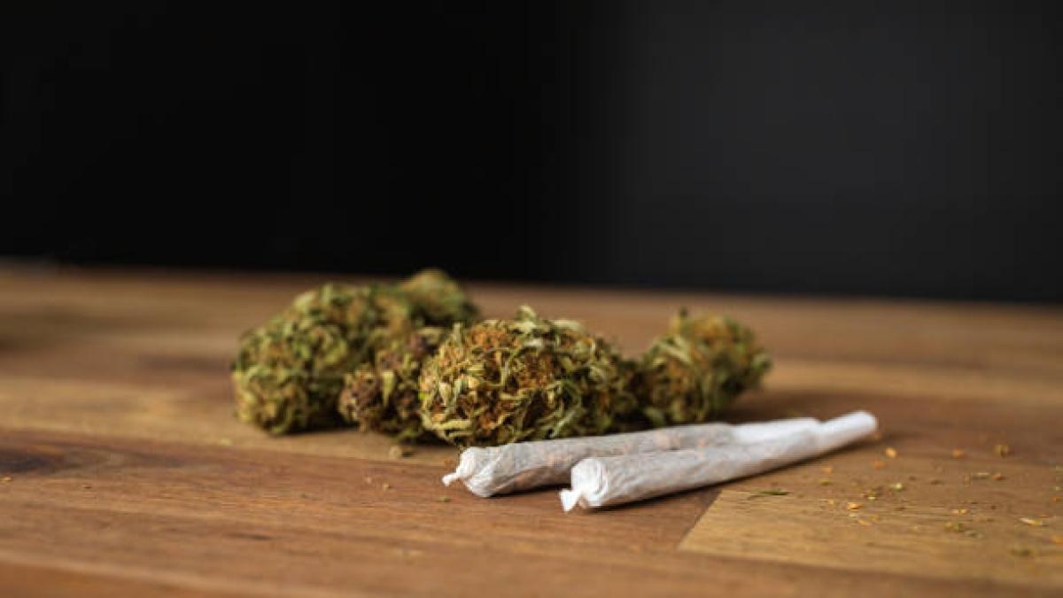 Uit onderzoek blijkt dat cannabisgebruik het risico op overlijden aan hart- en vaatziekten verdubbelt.