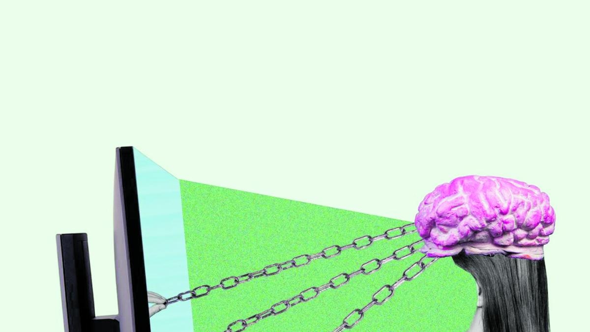 A neurociência da desinformação