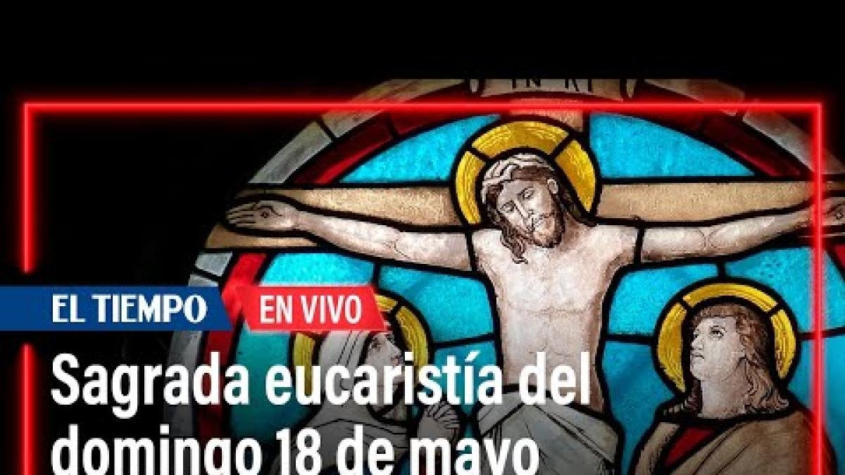 AO VIVO: Santa Eucaristia no domingo, 18 de maio