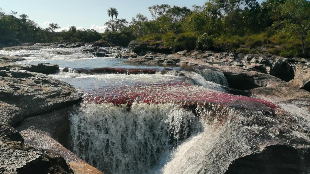 Het prachtseizoen van 2025 begint in Caño Cristales: welke natuurlijke attracties moet je bezoeken in La Macarena?