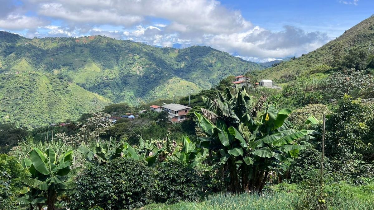 Entre las montañas y los sabores del café, un recorrido cafetero a solo 40 minutos de Medellín