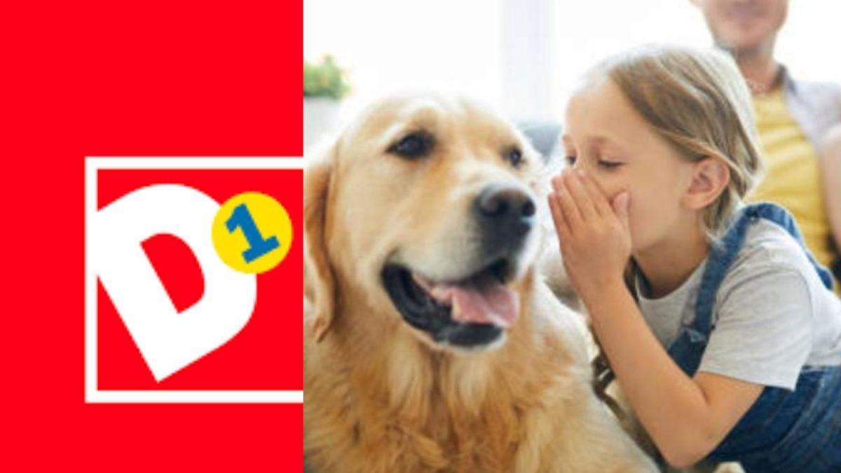 Самый волосатый сезон D1 уже здесь! Все для ваших питомцев по низким ценам.