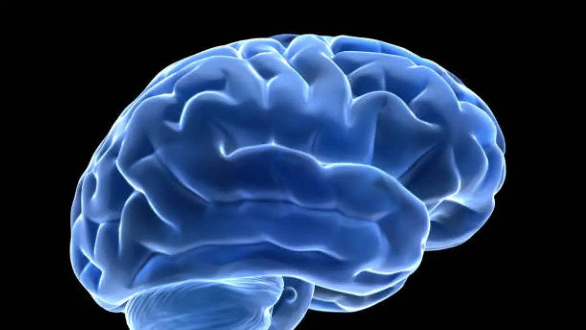 Ti senti mentalmente esausto? Sono state identificate le aree cerebrali che controllano la capacità delle persone di arrendersi o perseverare.