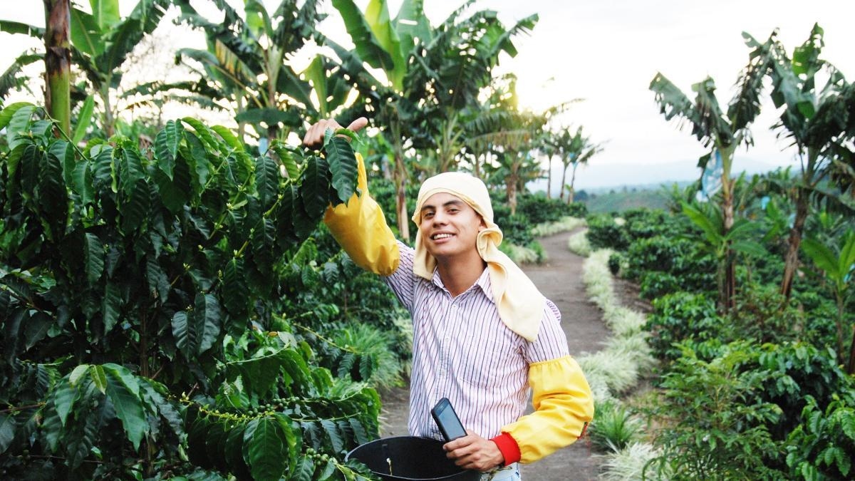 A Festa Nacional do Café de 2025 será realizada em Calarcá: saiba mais sobre as atividades que você pode participar.