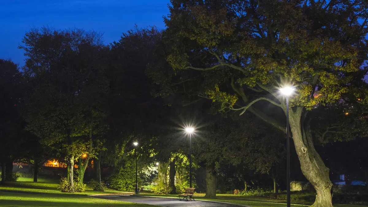 A luz artificial prolonga o ciclo de crescimento das plantas em áreas urbanas