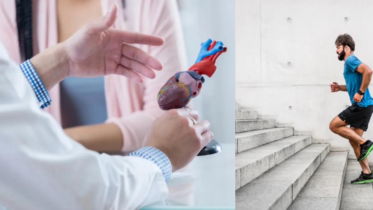 Uit nieuw onderzoek blijkt dat het beklimmen van minimaal 50 treden per dag het risico op hart- en vaatziekten vermindert en de hersenfunctie verbetert.
