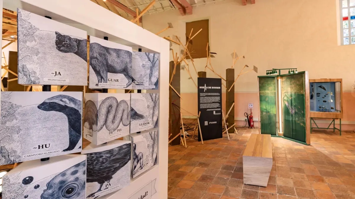 Bioverso, o primeiro museu experimental de biodiversidade da Colômbia, abre suas portas em Villa de Leyva.