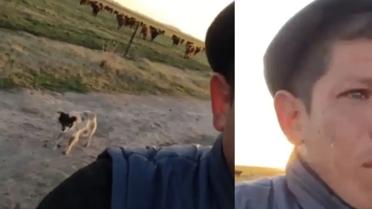 Il a été renvoyé de son travail et sa vidéo dans laquelle on le voit pleurer parce qu'il doit laisser son chien à la campagne a ému tout le monde.