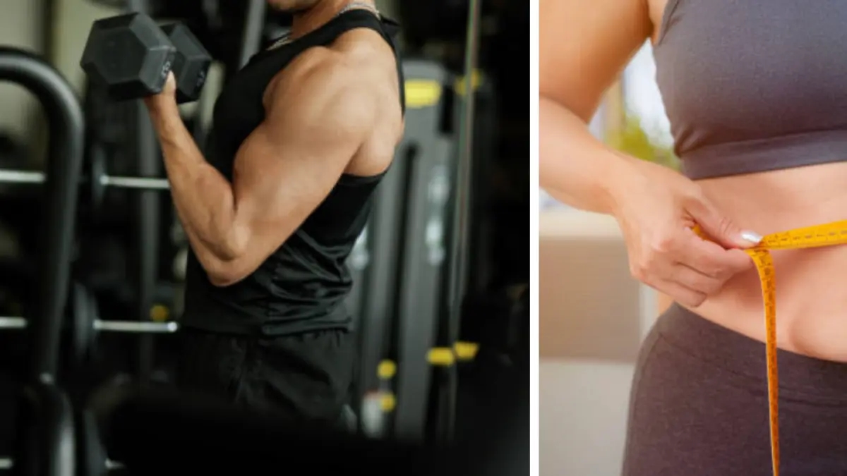 Werden Muskeln zu Fett, wenn wir aufhören, sie durch Training zu stimulieren?