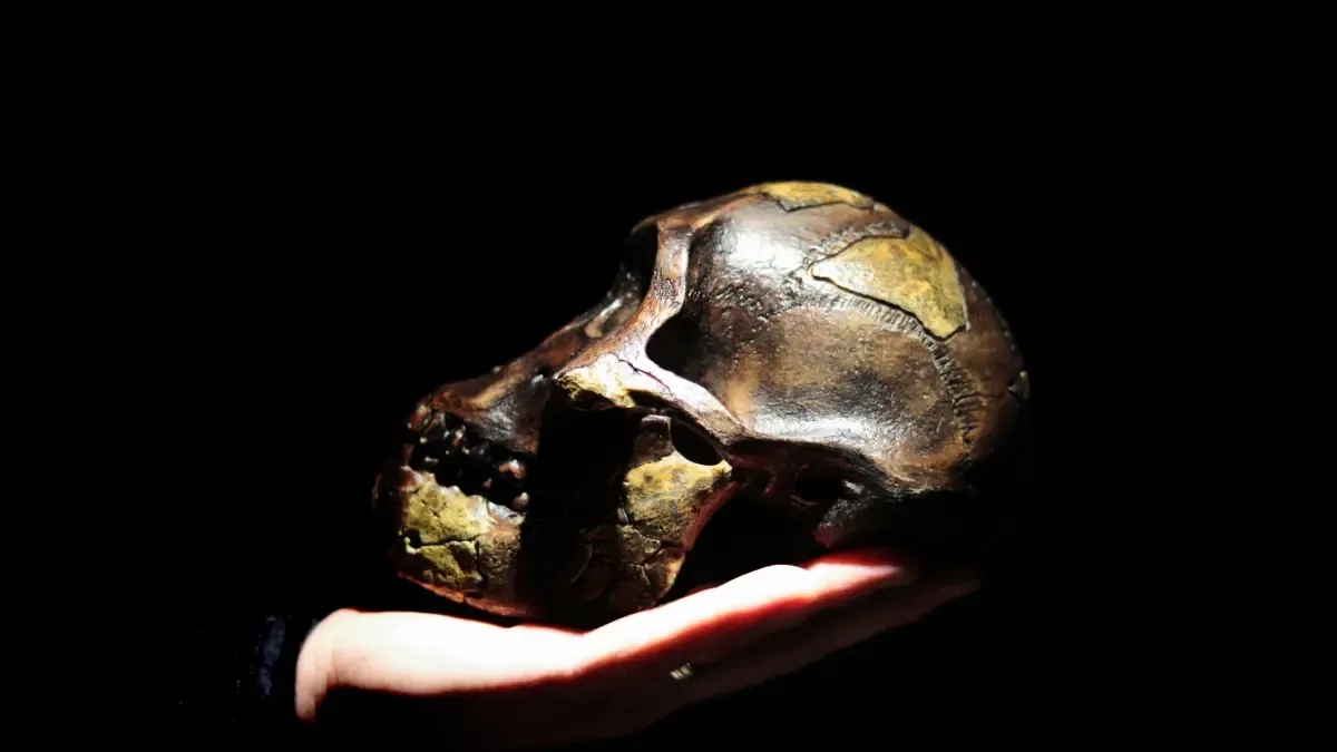 The bones of the famous hominid Lucy will leave Ethiopia for Europe for the first time.