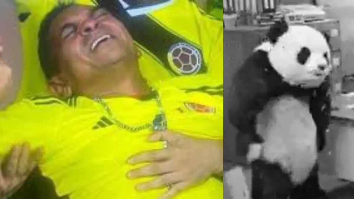 Finał Copa América Kobiet 2025: Najlepsze memy z meczu Kolumbii z Brazylią