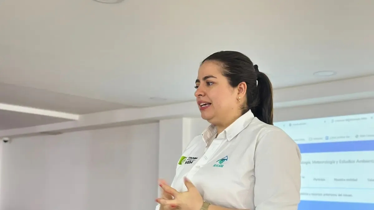'IDEAM is an entity that was created 30 years ago with a logic that is not those of today': Ghisliane Echeverry, director of the institute