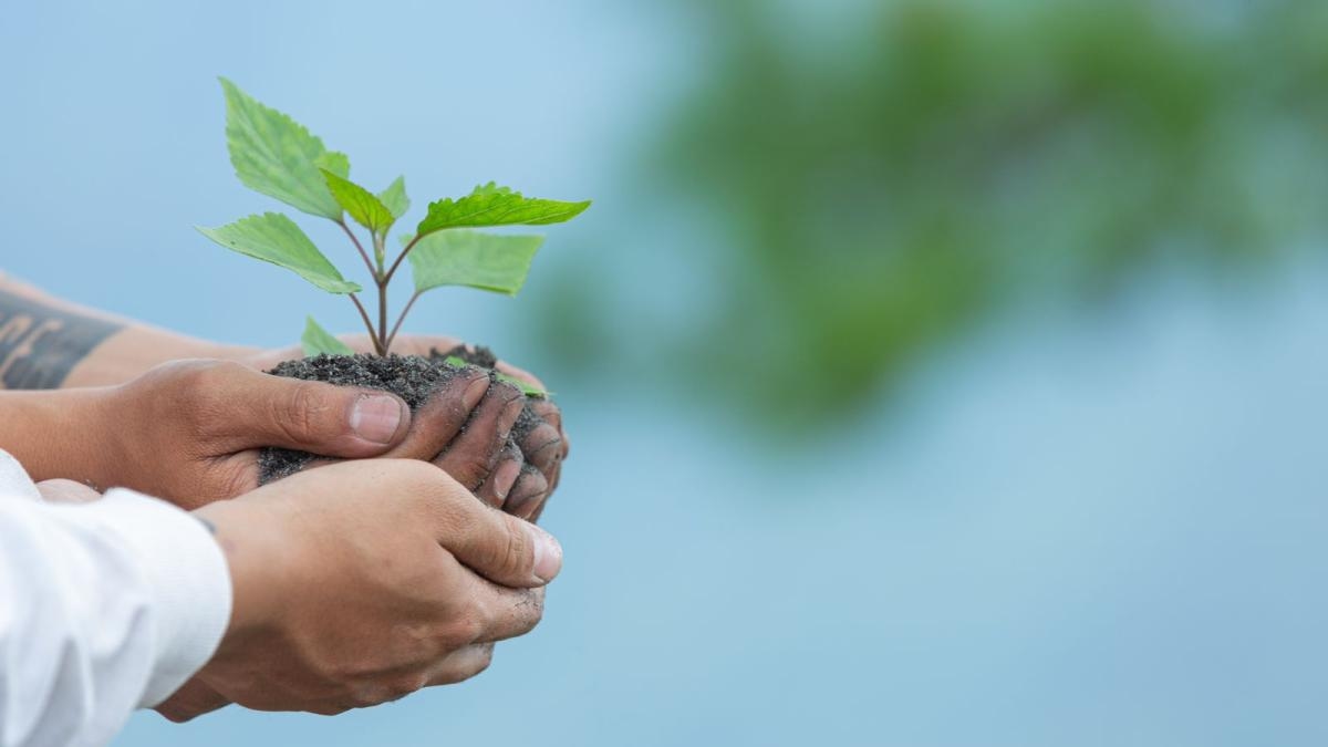 Last days to apply for the 2025 Lazos Awards, which will recognize the best sustainable initiatives in Colombia.