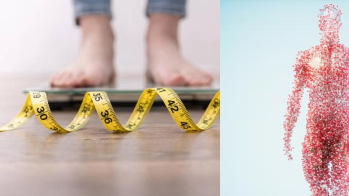 Une alimentation riche en graisses peut modifier le métabolisme différemment selon le sexe de chaque personne, indique une étude.