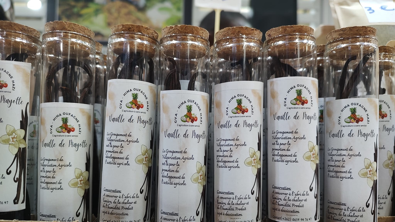 "Its aroma is more pointed": Mayotte relies on vanilla to develop its agriculture