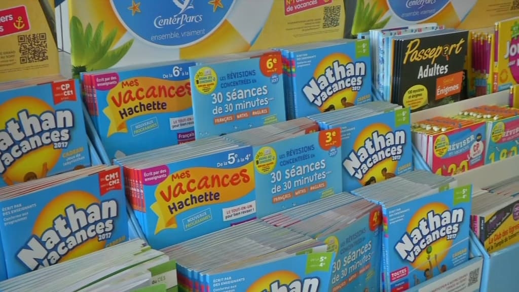 Lohnt es sich wirklich, ein Ferienarbeitsbuch für Ihr Kind zu kaufen?