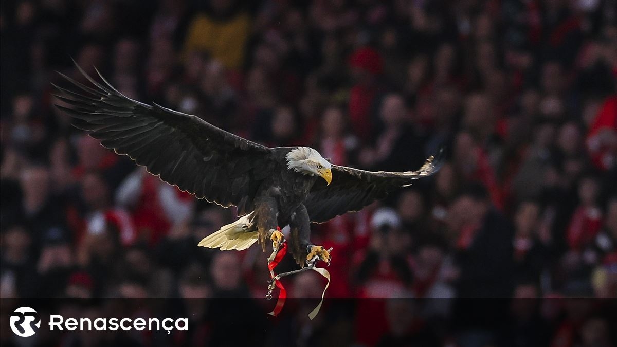 Leden van Benfica stemmen op 8 maart over wijzigingen in de statuten