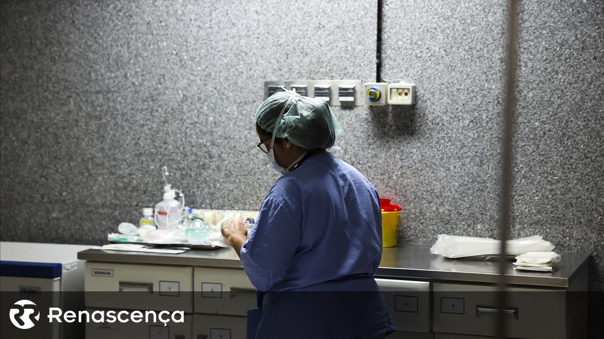 Jovens profissionais de saúde entregam ao Governo plano para reter talento no SNS