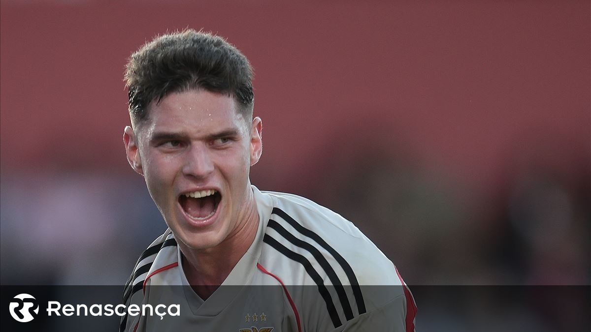 ​After all, Sudakov and Lukebakio can play Benfica-Rio Ave