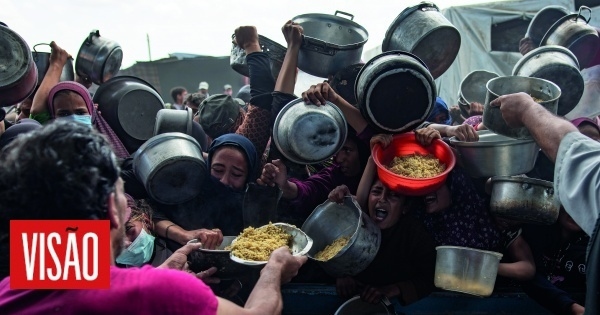 Gaza: Um plano para acabar com a tragédia da fome