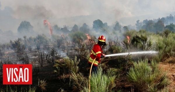 Muore un uomo gravemente ustionato nell'incendio di Sabugal