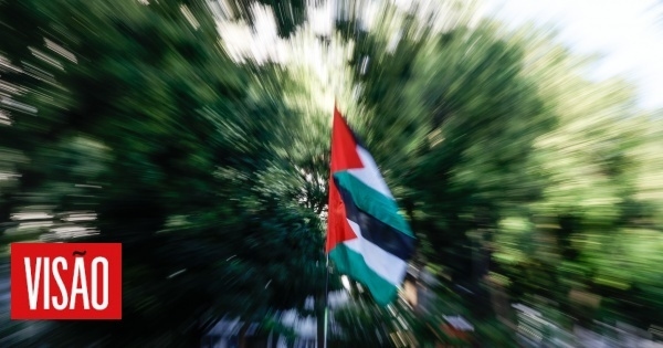 Alcune implicazioni pratiche del riconoscimento dello Stato di Palestina