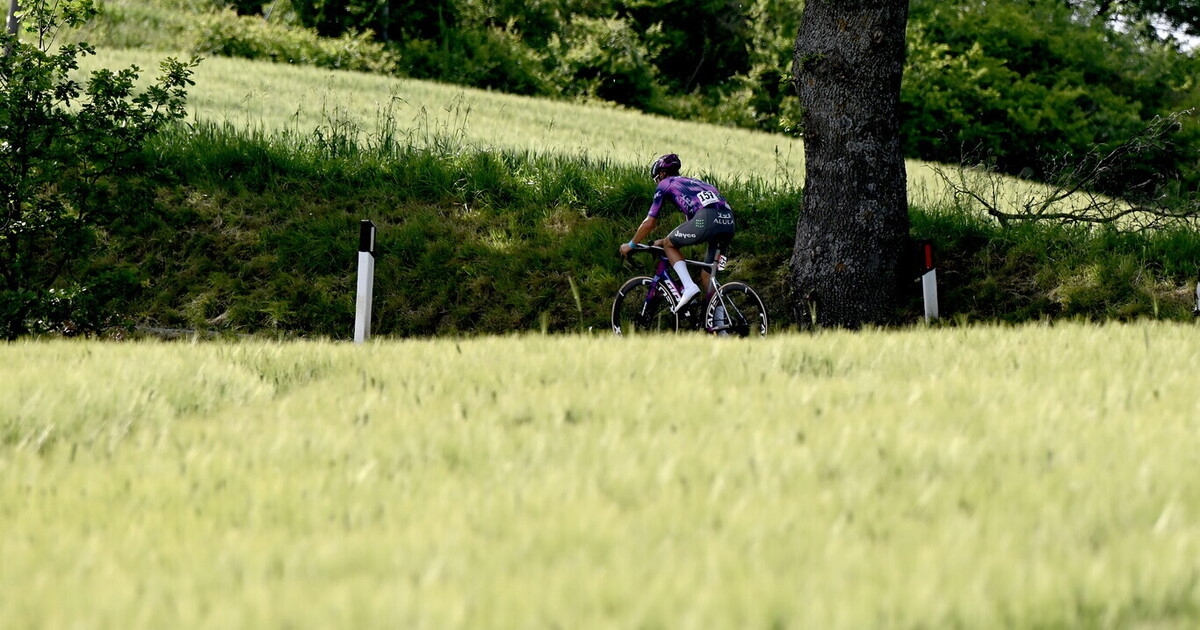 Os pensamentos felizes de Plapp e Ulissi (de camisa rosa) no Giro d'Itália