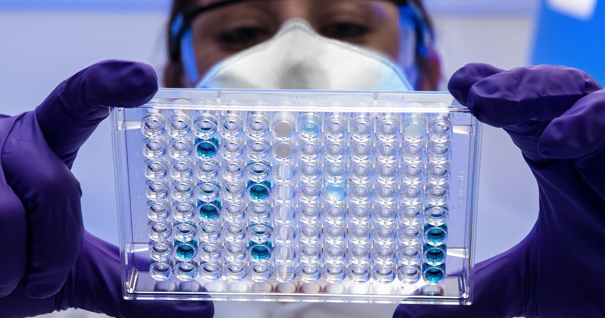 L'astensione sul trattato pandemico dell'Oms mette l'Italia nell'angolo sbagliato