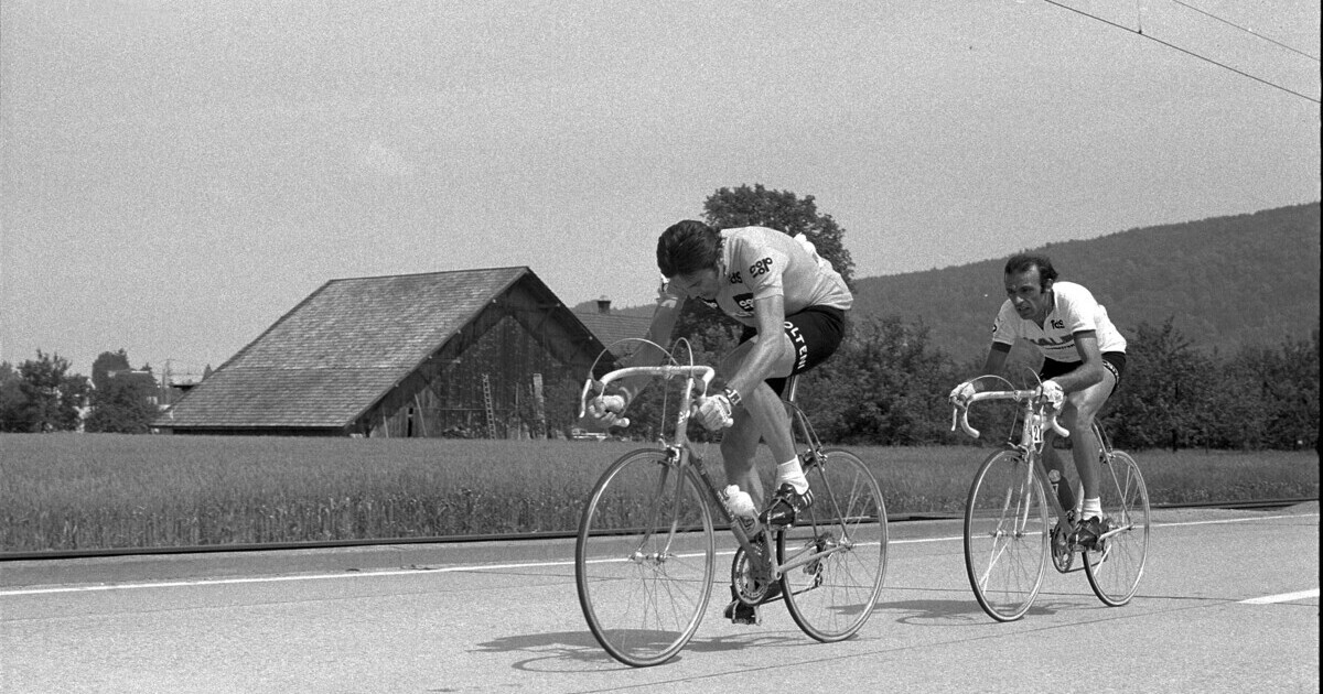 Eddy Merckx più universale che Cannibale