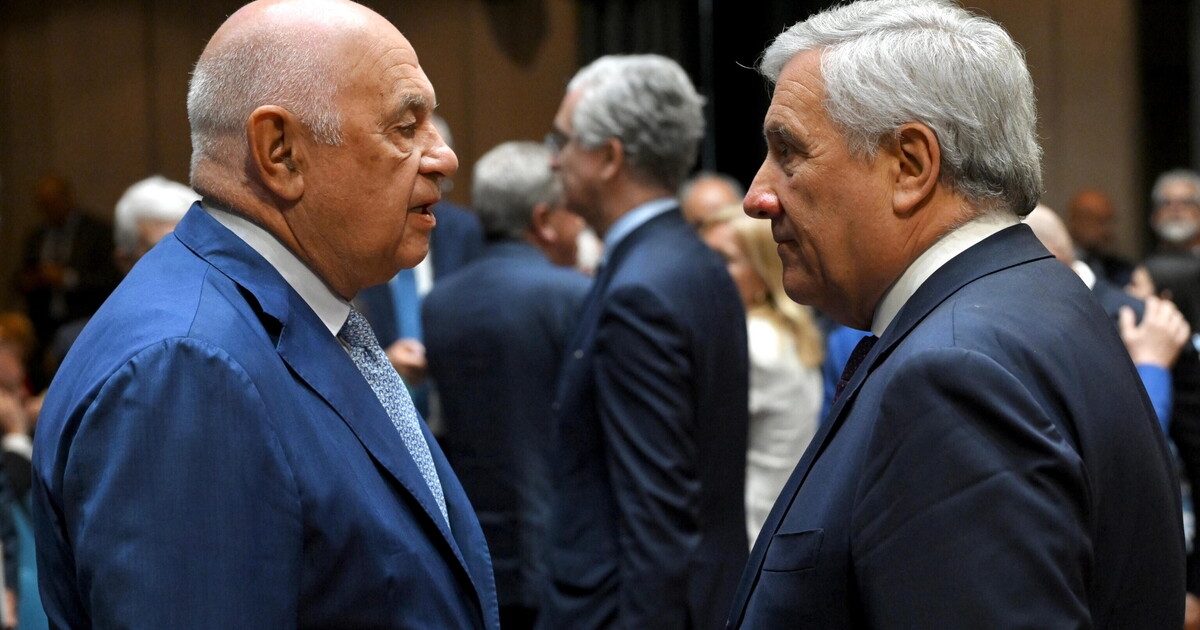 De paradox van Forza Italia: het predikt garanties, maar voedt het strafrechtelijke populisme van de regering