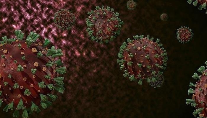 ВОЗ: Целевая вакцинация против широко распространенного в Африке вируса M. pox необходима из-за сохраняющегося риска передачи