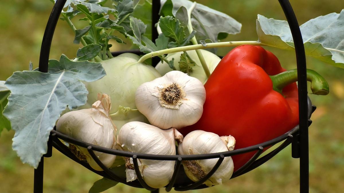 This Vegetable Can Help Your Brain Work. Seniors Shouldn't Skip It