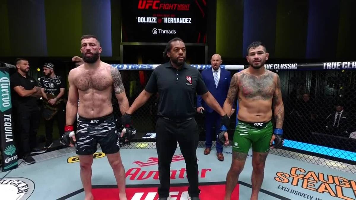 UFC Hernandez vs. Dolidze. Resultaten en hoogtepunten van het gevecht.