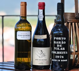 Het Douro Superior Wijnfestival trok duizenden bezoekers en onderscheidde de beste wijnen