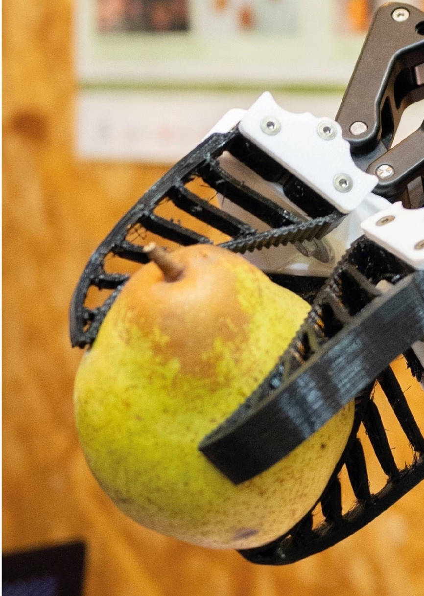 Fundão Agricultural Innovation Fair