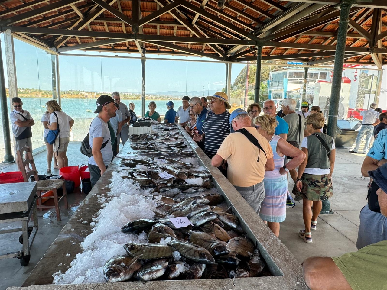 Alvor, Ulusal Balıkçılar Günü'nü "Taze Balık Pazarı" ile kutluyor
