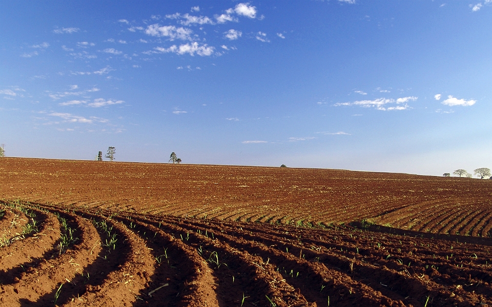 PSD and PS approve majority of amendments to the rural lands legislation in the specialty