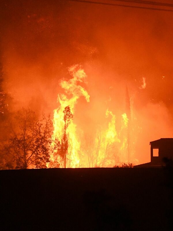 Since the beginning of the year, fires have claimed an area larger than the city of Cologne.
