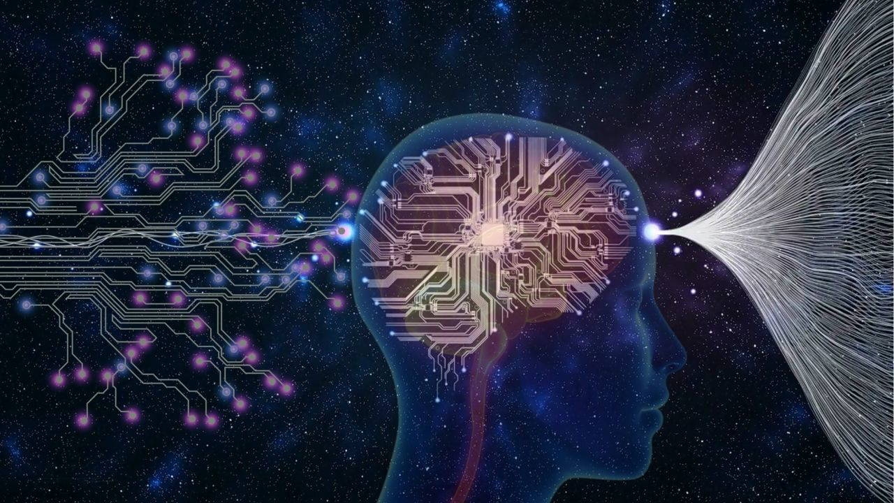 It turns out that psychopaths' brains are very different.