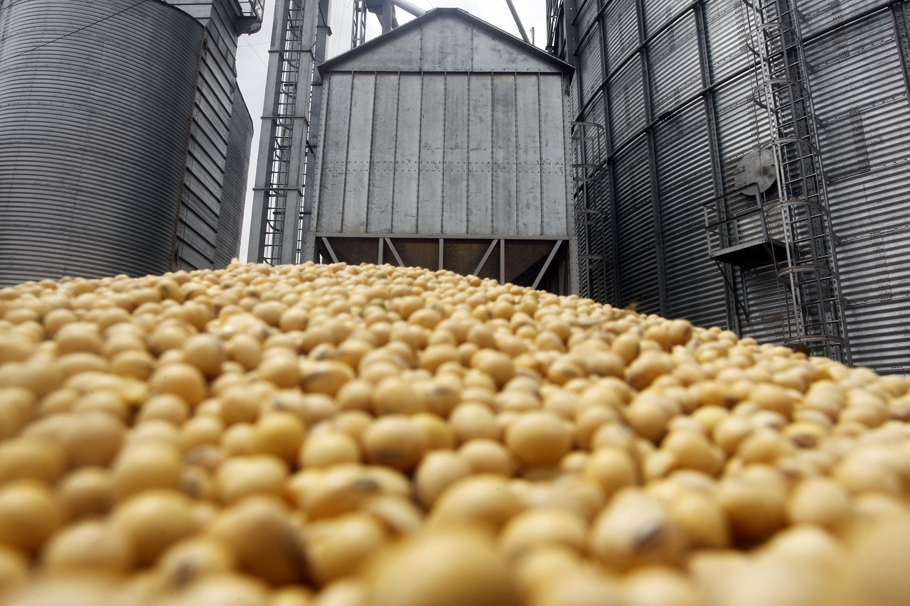 ¿El combustible reduce la producción de alimentos? No en Brasil