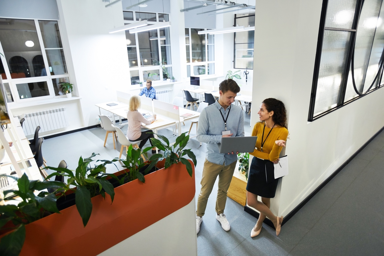 Discover the Best Low Cost File Sharing Services for Small Businesses and Freelancers
