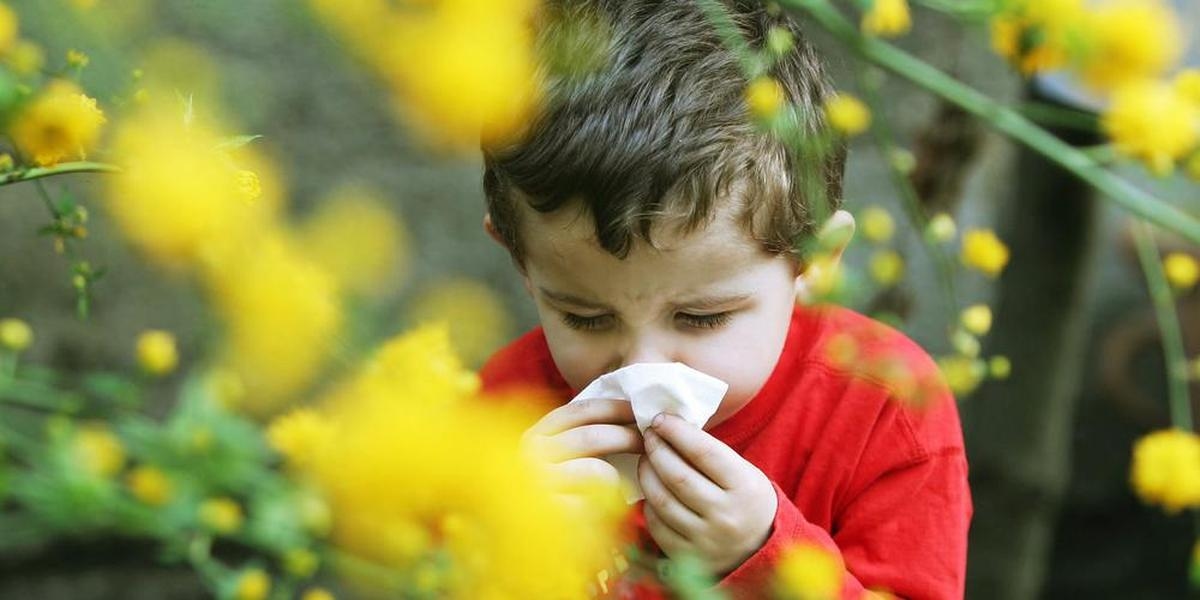 Pollen allergy in children: what are the symptoms and how can they be relieved?