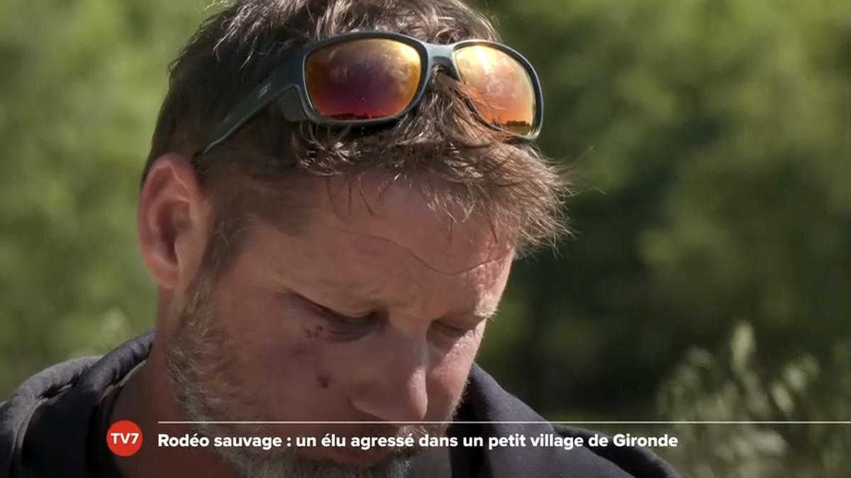 Wild rodeo: elected official attacked in a small village in Gironde