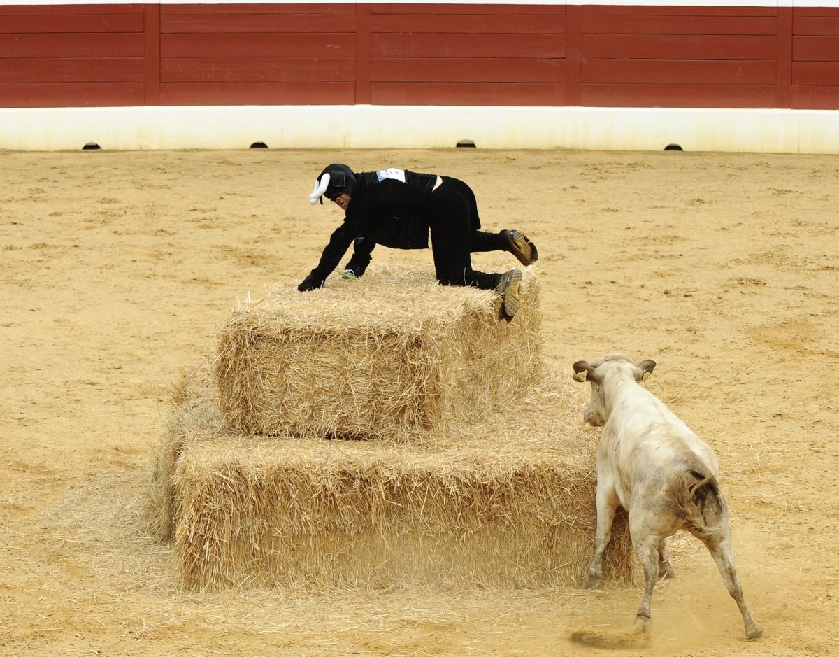 Landes. « Une des meilleures en France » : un spécialiste des courses d’obstacles décrypte la « Sud Ouest » Mounride