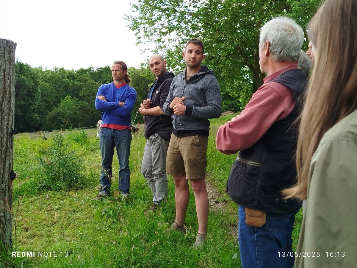 Landes : à Pey, ce jeune éleveur a fait le choix des races bovines anciennes et des circuits courts