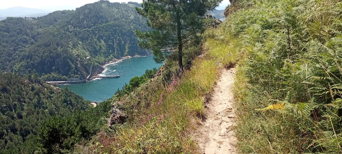 İspanya'da tatil: Cape Figuier'den Pasaia limanına yürüyüş