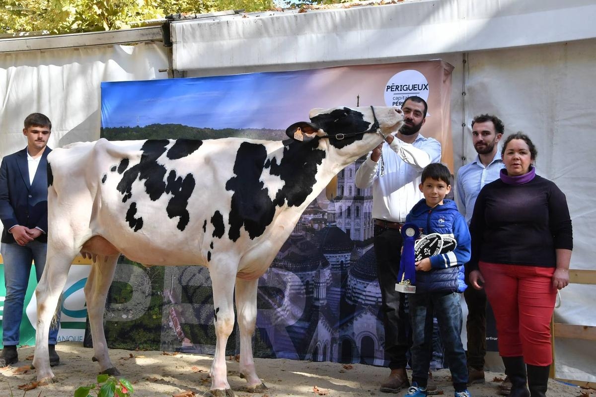 Aquitanima 2025: un título de campeón y dos premios para las vacas de estos ganaderos de Dordoña