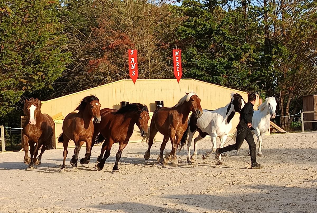 Saint-Georges-d'Oléron: Zawody jeździeckie świętują piątą rocznicę w wielkim stylu