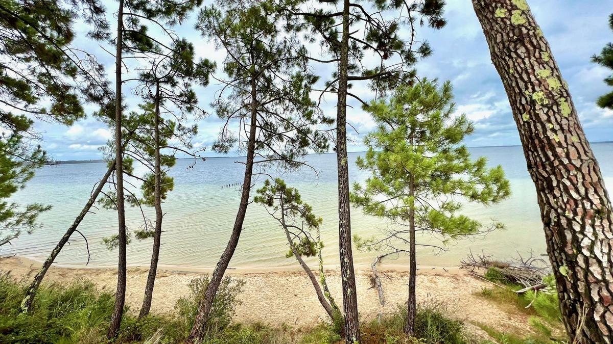 Férias em Biscarrosse: o que ver, o que fazer, onde comer? Nossas principais dicas de verão