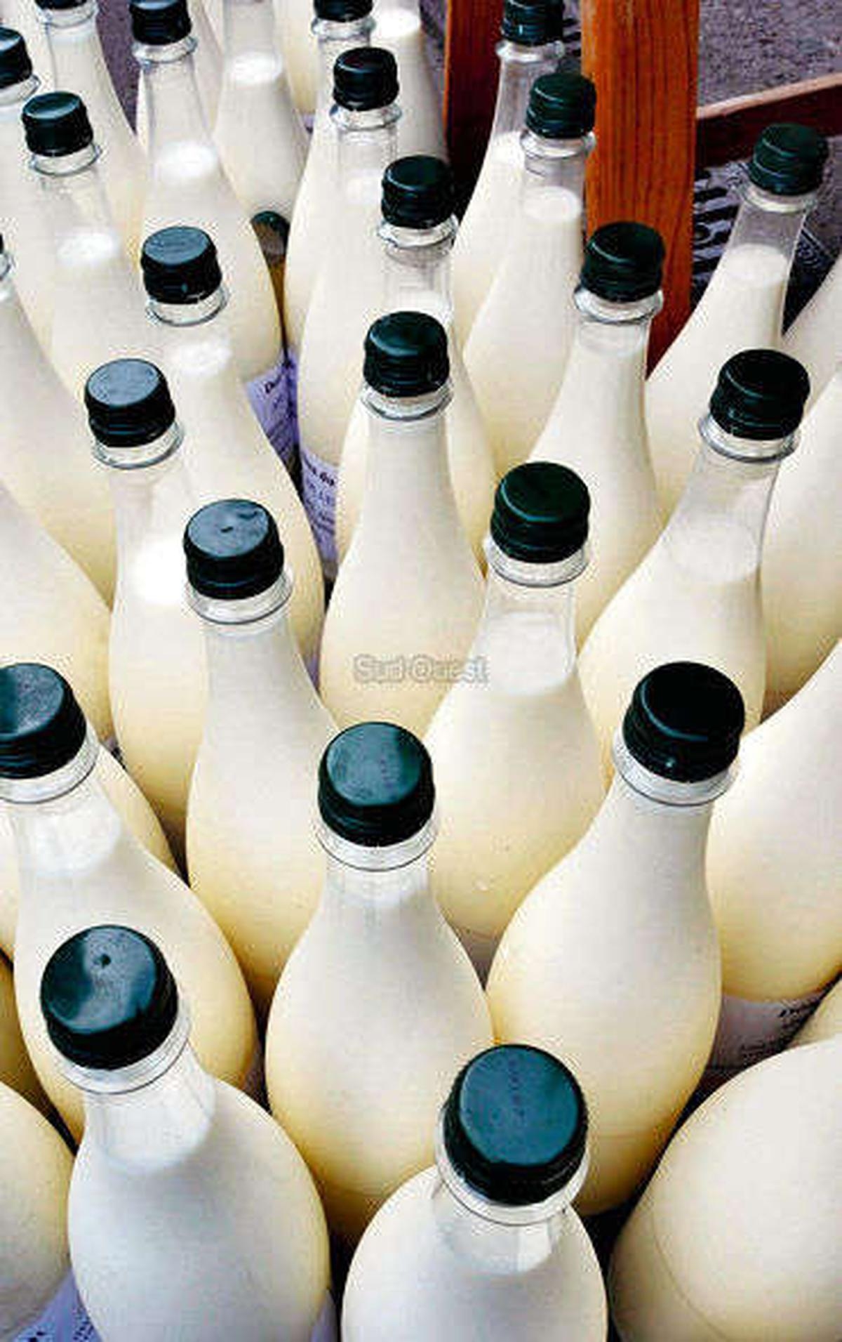 Product recall: these milk cartons sold at Leclerc have a manufacturing defect